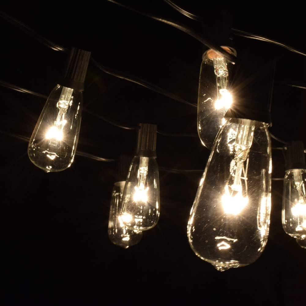 Hometown Evolution, Inc. Vintage Edison Outdoor String Lights (ST40 Clear - Black Wire, 100 ft)
