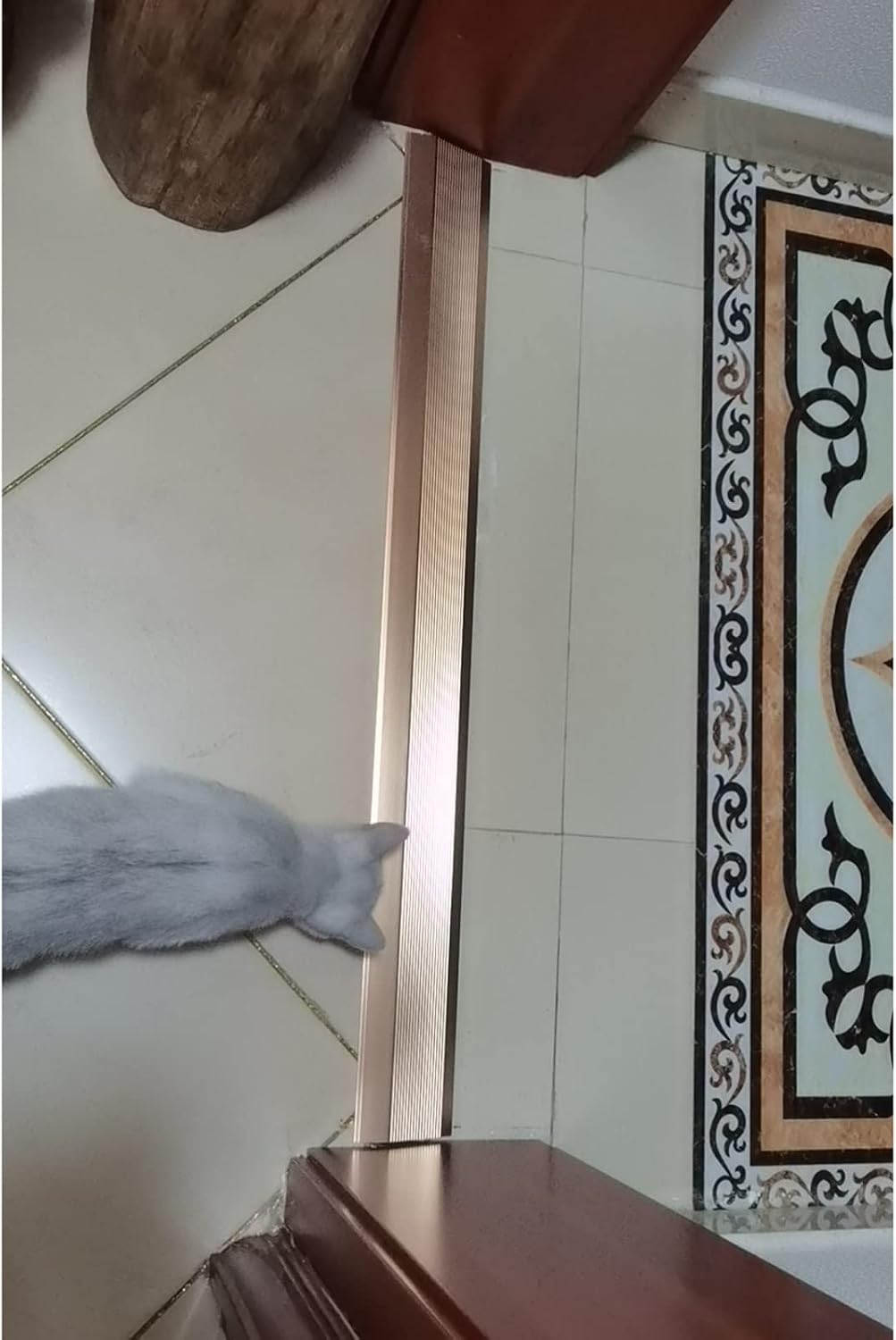 Floor Strips Between Rooms, 4inch 10cm Extra Wide Threshold Transition Ramps for Doorways, Self Adhesive Reducer/Edge Trim for Vinyl Wood Uneven Flooring, Metal (E W 10CM)