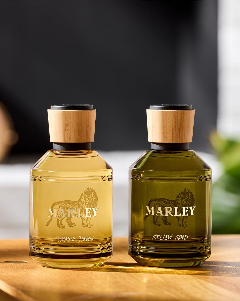Michael Malul / Marley Simmer Down -100ml | 3.4oz EDP