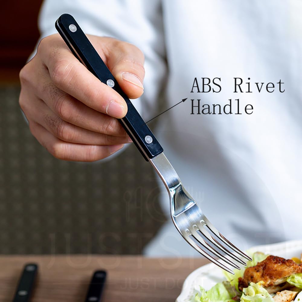 JUSTSHOT 24 Piece Rivet ABS Handle Flatware Set for 6,1810 Stainless Steel Black Handle Silverware Set,Rivet Handle Cutlery Flatware Set,Mirror Polished,Dishwasher Safe