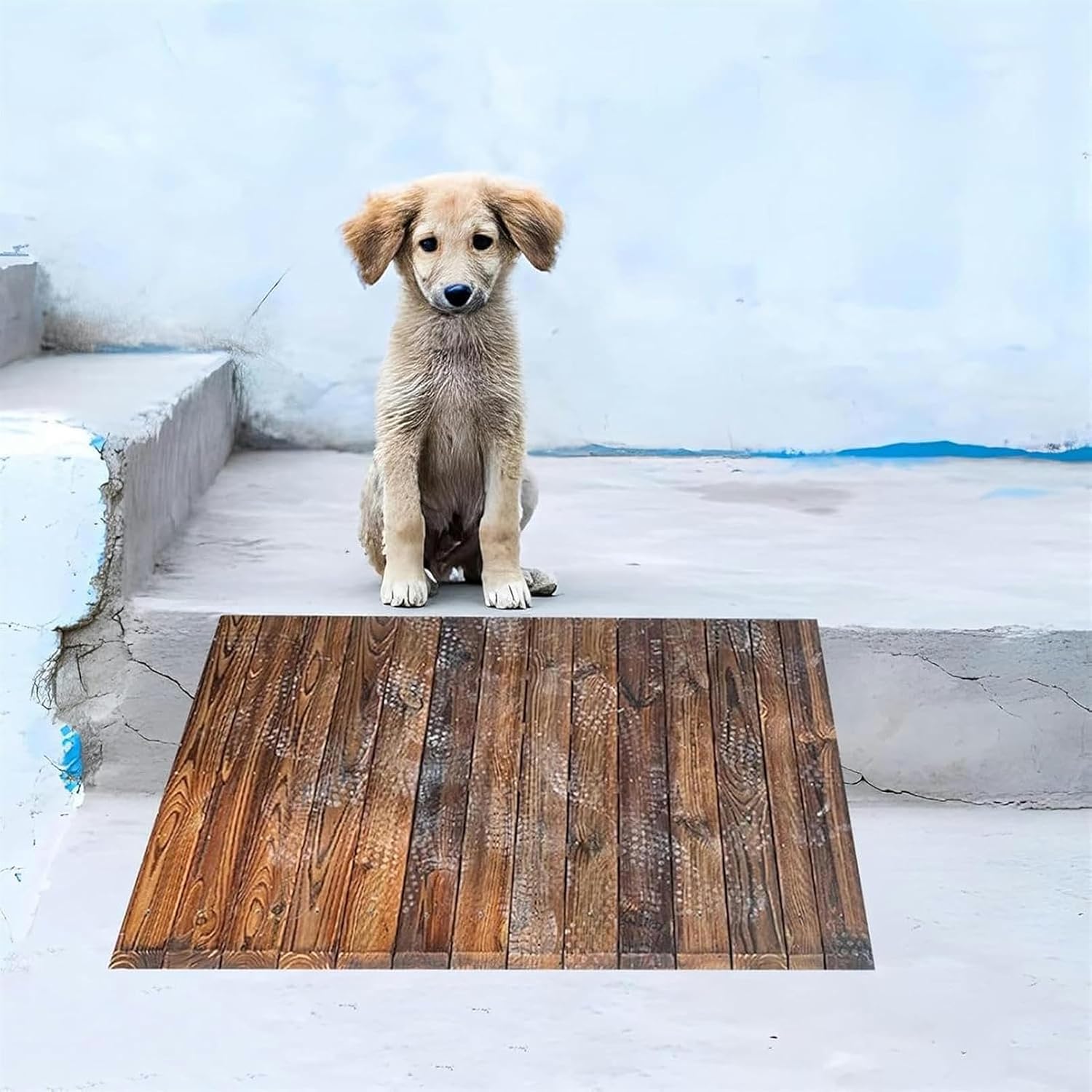 Threshold Ramp, 4/7/8/10inch Rise Wooden Threshold Ramps for Doorways, Non Slip Curb Ramp for Elderly/Disabled Entryway Ramp Wheelchair Ramp