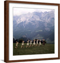 ART.COM Wall Premium Photographic Print The Sound of Music, 1965 on Brown Frame, 21' x 21'