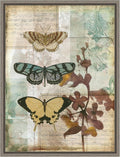 Amanti Art Framed Canvas Wall Art 24x18 Music Box Butterflies I by Jennifer Goldberger, Framed Wall Art Canvas, Animals Artwork, Country Rustic Decor, Medium Poster Painting for Living Room, Bedroom,
