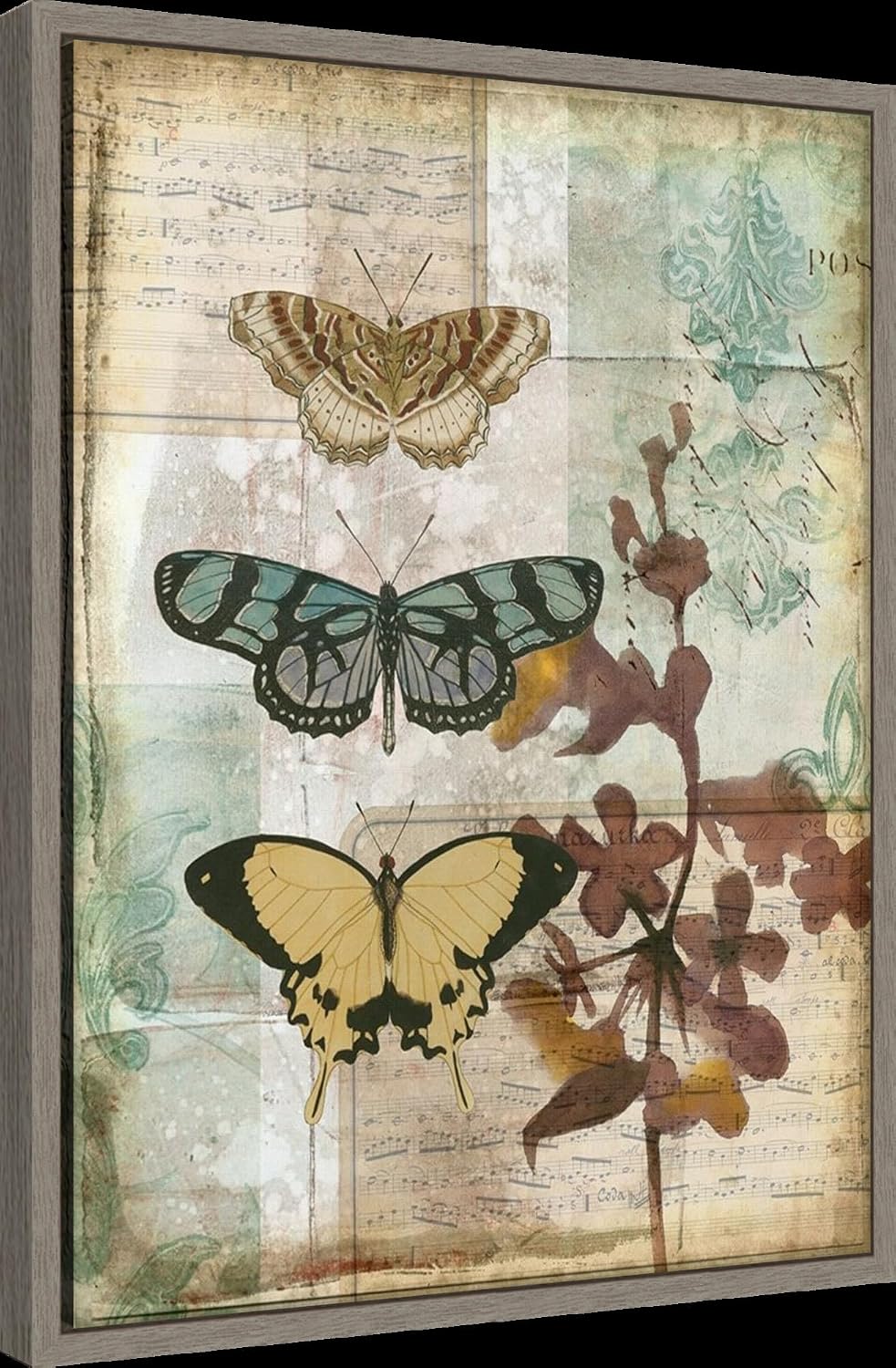 Amanti Art Framed Canvas Wall Art 24x18 Music Box Butterflies I by Jennifer Goldberger, Framed Wall Art Canvas, Animals Artwork, Country Rustic Decor, Medium Poster Painting for Living Room, Bedroom,