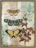 Amanti Art Framed Canvas Wall Art 30x23 Music Box Butterflies I by Jennifer Goldberger, Framed Wall Art Canvas, Animals Artwork, Country Rustic Decor, Large Poster Painting for Living Room, Bedroom,