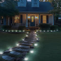 PATIOWIN 20 Pack Solar Ground Lights, 8 LED Solar Powered Disk Lights Waterproof Garden Landscape Lighting for Yard Patio Driveway Pathway Walkway (Cool White)