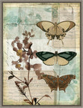 Amanti Art Framed Canvas Wall Art 30x23 Music Box Butterflies II by Jennifer Goldberger, Framed Wall Art Canvas, Animals Artwork, Country Rustic Decor, Large Poster Painting for Living Room, Bedroom,
