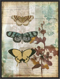 Amanti Art Framed Canvas Wall Art 42x32 Music Box Butterflies I by Jennifer Goldberger, Framed Wall Art Canvas, Animals Artwork, Modern Decor, Oversize Poster Painting for Living Room, Bedroom,