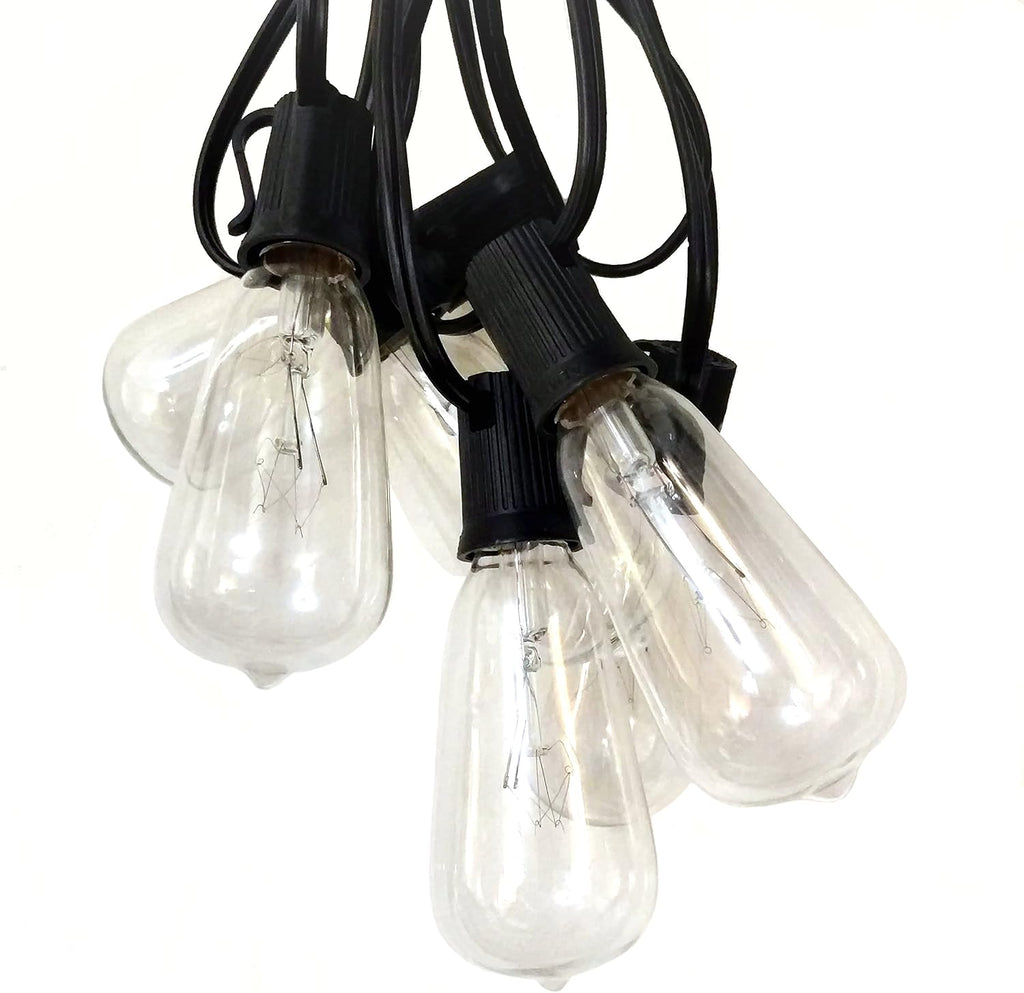 Hometown Evolution, Inc. Vintage Edison Outdoor String Lights (ST40 Clear - Black Wire, 100 ft)