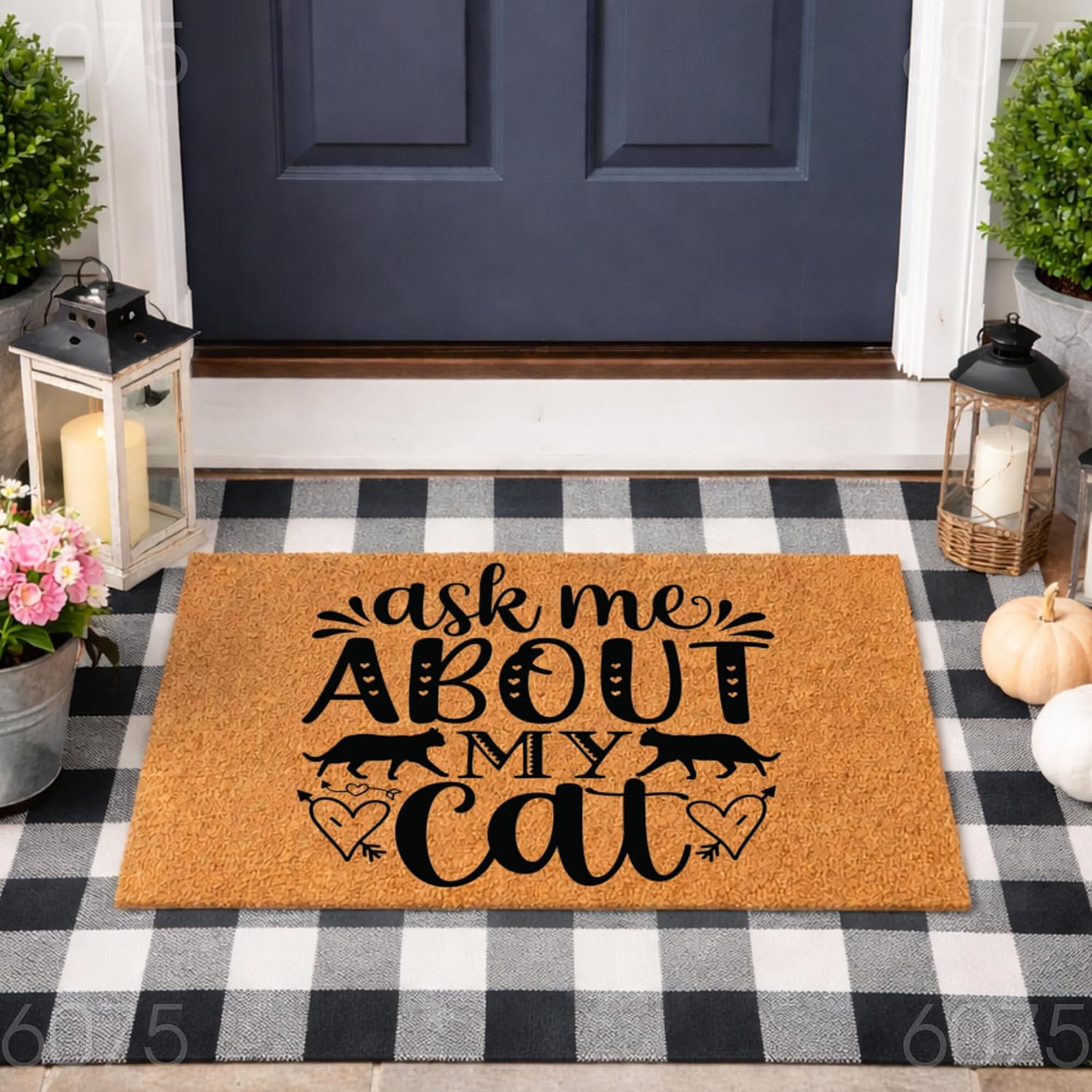 Funny Cat Doormat, Ask Me About My Cat Welcome Mat For Front Door, Coir Rug | Housewarming Gift For Cat Lovers, New Home Present, Funny Pet Owner Decor, Front Porch Entryway, Indoor Outdoor Entrance