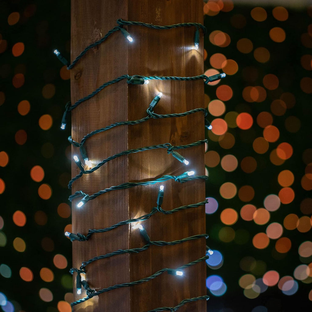 Novelty Lights 12-Pack, 50 Feet 100 LED Pure White Christmas Mini Light String on Green Wire, 5mm Wide Angle Bulbs, Connectable, Indoor/Outdoor Decor, UL Listed