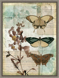 Amanti Art Framed Canvas Wall Art 24x18 Music Box Butterflies II by Jennifer Goldberger, Framed Wall Art Canvas, Animals Artwork, Country Rustic Decor, Medium Poster Painting for Living Room, Bedroom