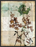 Amanti Art Framed Canvas Wall Art 42x32 Music Box Floral II by Jennifer Goldberger, Framed Wall Art Canvas, Flowers Artwork, Modern Decor, Oversize Poster Painting for Living Room, Bedroom, Bathroom,