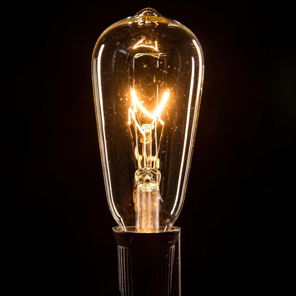 Hometown Evolution, Inc. Vintage Edison Outdoor String Lights (ST40 Clear - Black Wire, 100 ft)