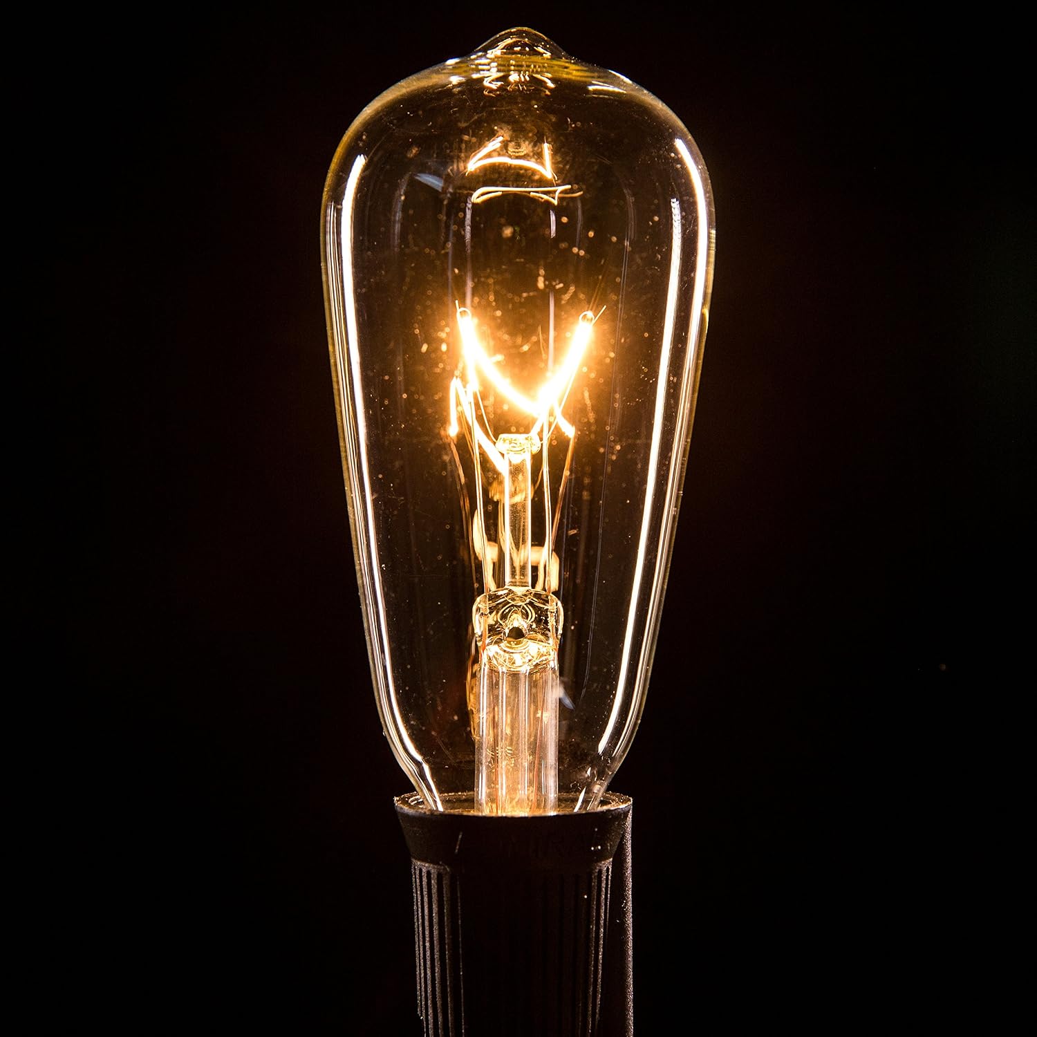 Hometown Evolution, Inc. Vintage Edison Outdoor String Lights (ST40 Clear - Black Wire, 100 ft)