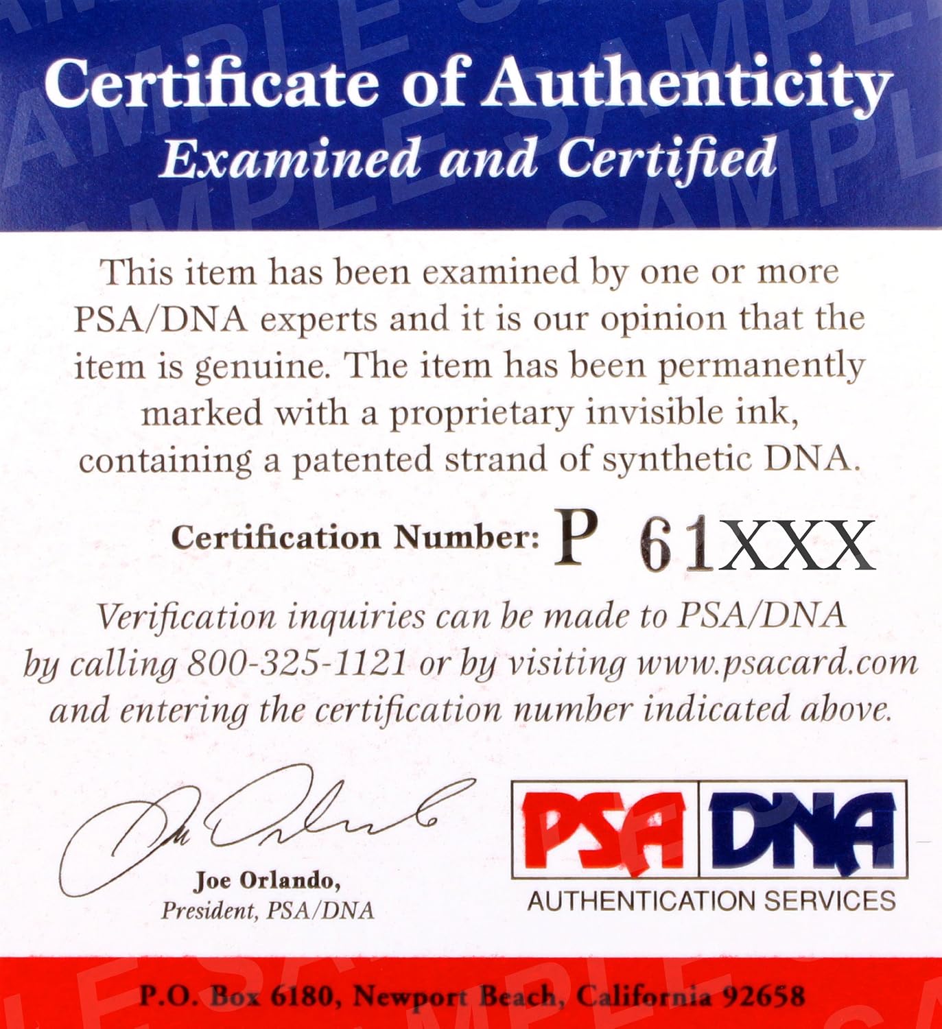 George Pipgras Signed - Autographed 1949 Government Postcard - index card with Slabbed PSA/DNA Authenticity - New York Yankees - Deceased 1986 - MLB Cut Signatures