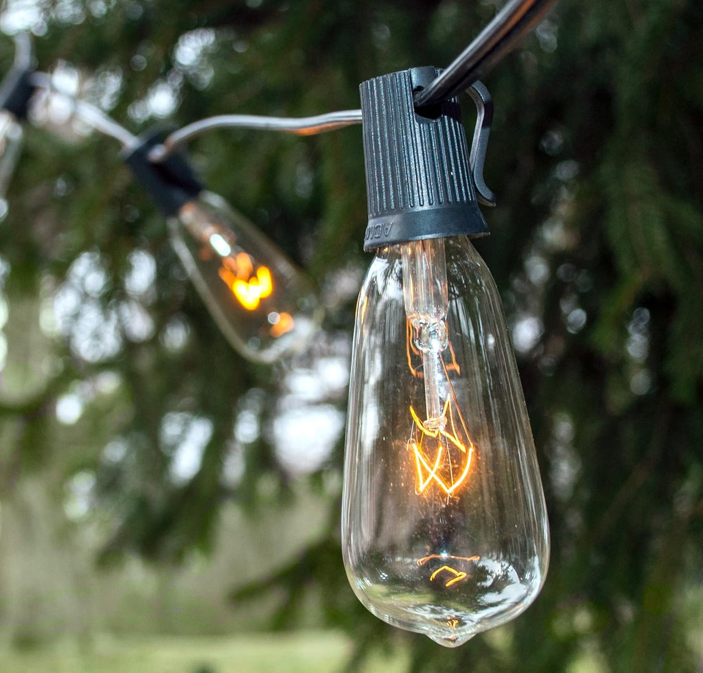 Hometown Evolution, Inc. Vintage Edison Outdoor String Lights (ST40 Clear - Black Wire, 100 ft)